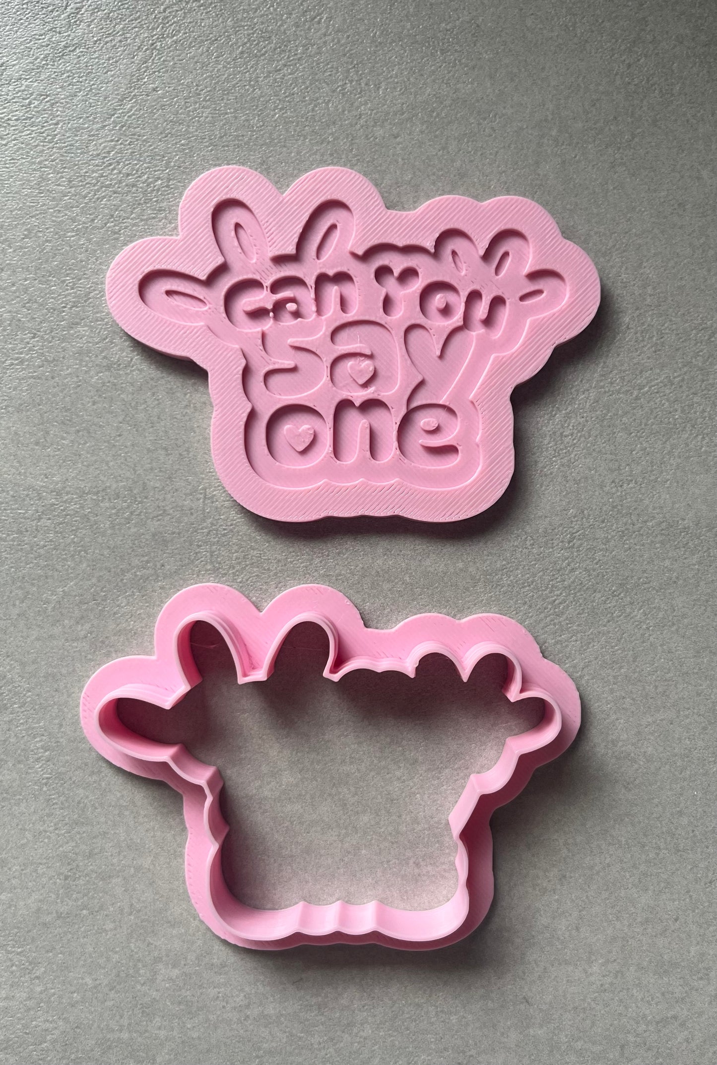Ms Rachel & Friends Cutters & Icing Stamps For Cookies & Cupcake Toppers